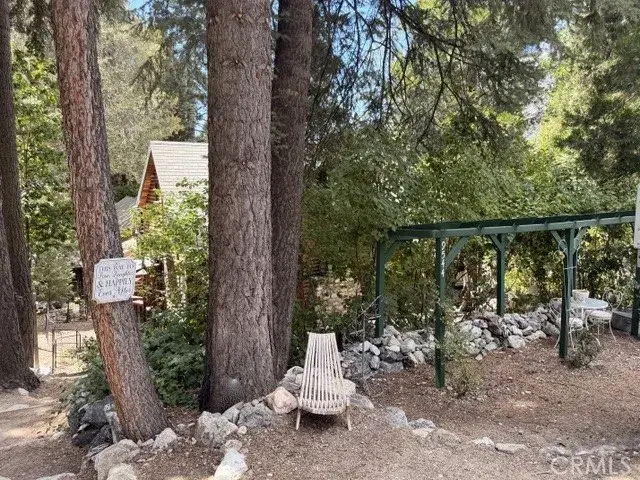9544 Snow Drift, Forest Falls, CA 92339 - #2