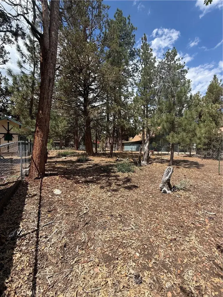 569 Victoria, Sugarloaf, CA 92386 - #2