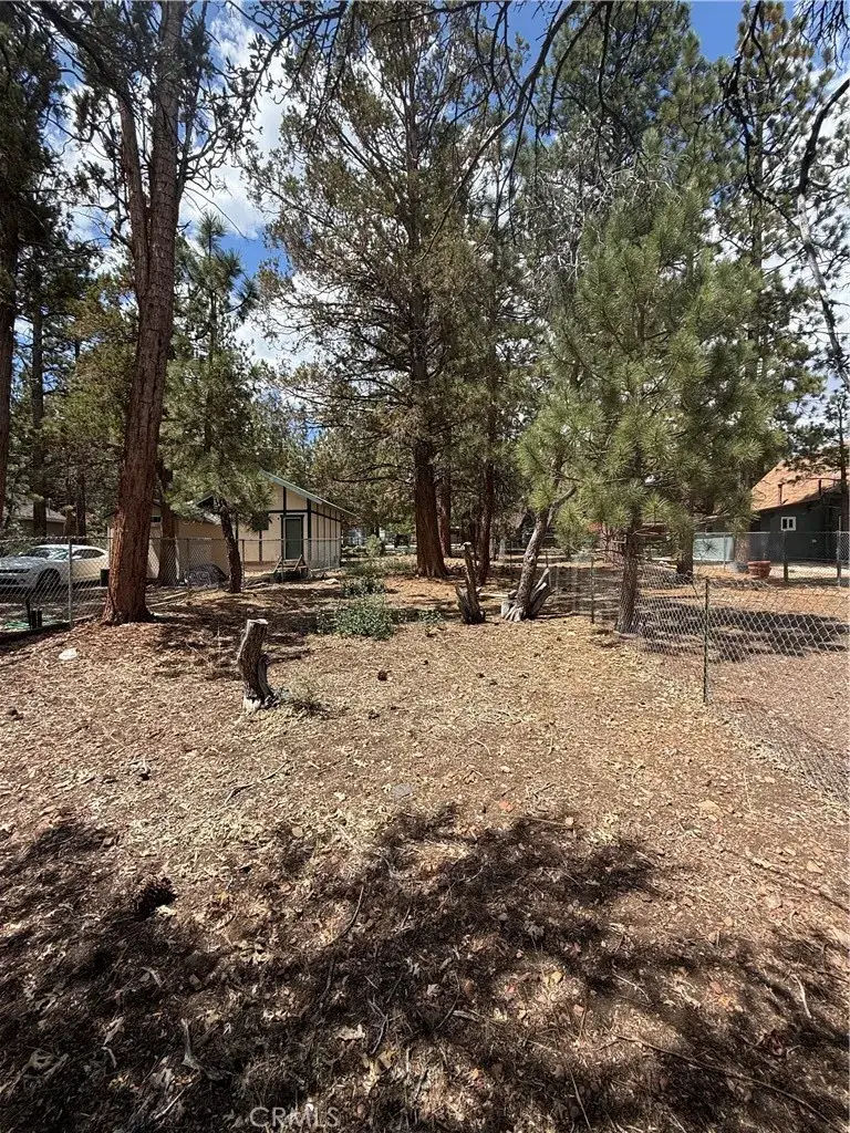 569 Victoria, Sugarloaf, CA 92386 - #3
