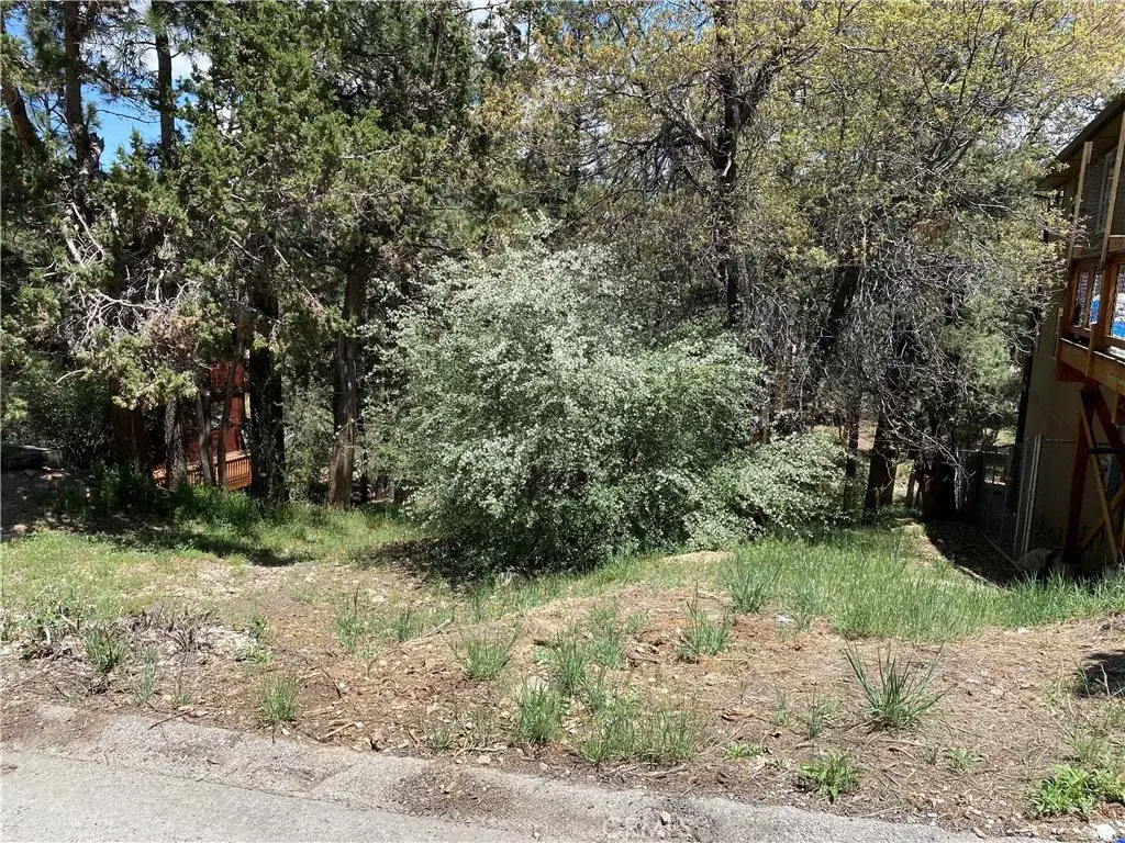 0 Imperial, Sugarloaf, CA 92386 - #1