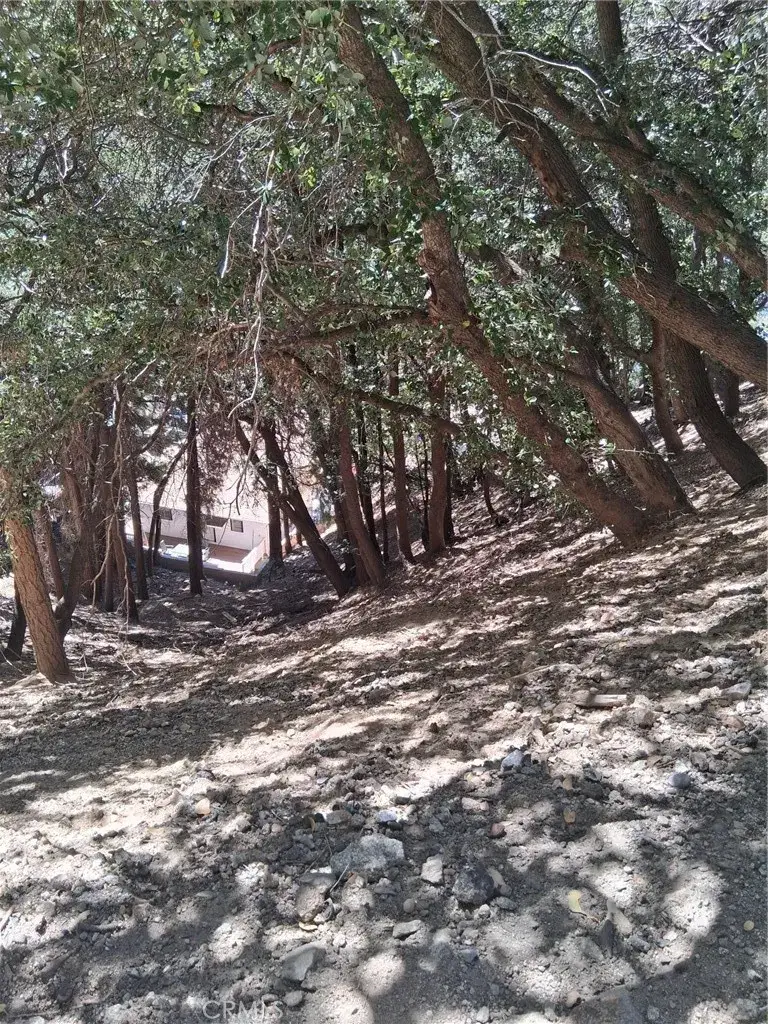 10 Delle, Crestline, CA 92325 - #1