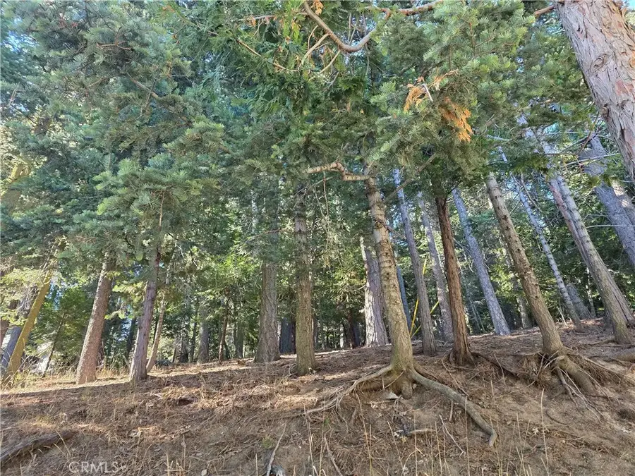 0 Altdorf, Crestline, CA 92325 - #3