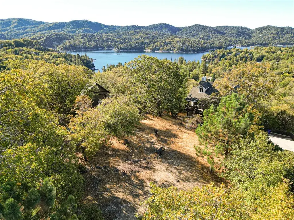 28731 Bryce Dr, Lake Arrowhead, CA 92352 - #1