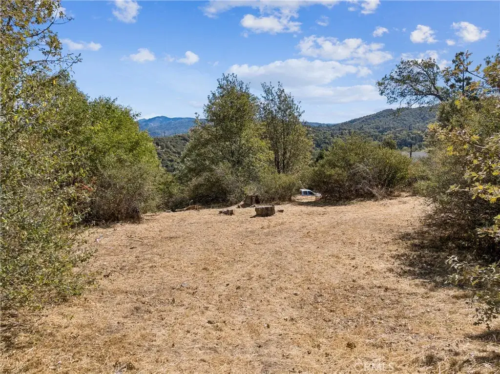 289 Glen Avon, Cedar Glen, CA 92321 - #1