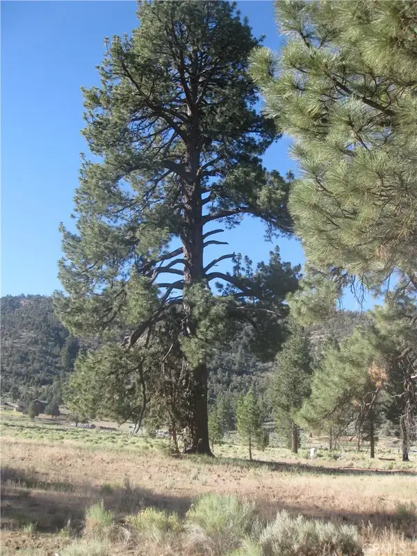 2824 Erwin Ranch, Big Bear City, CA 92314