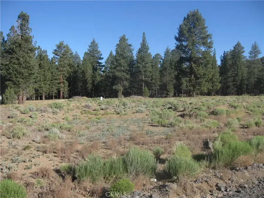 2824 Erwin Ranch, Big Bear City, CA 92314 - Image #3