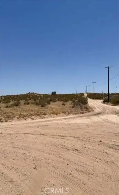 #3