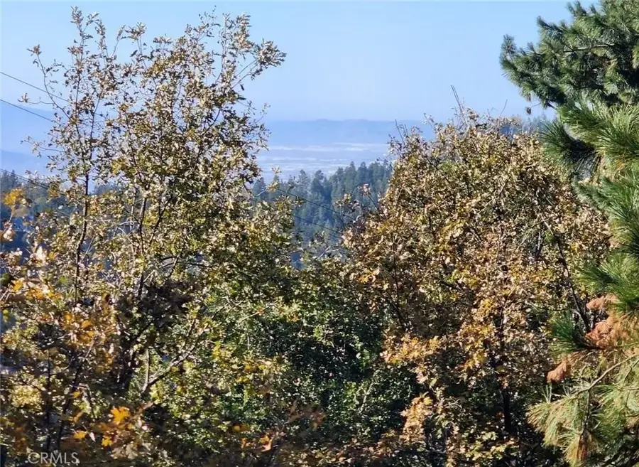 900 Lo, Twin Peaks, CA 92391 - Image #3