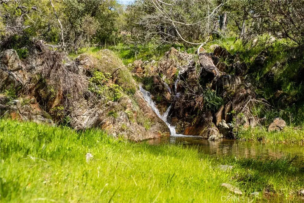 10777 Walker Trail, Angels Camp, CA 95230 - Image #1