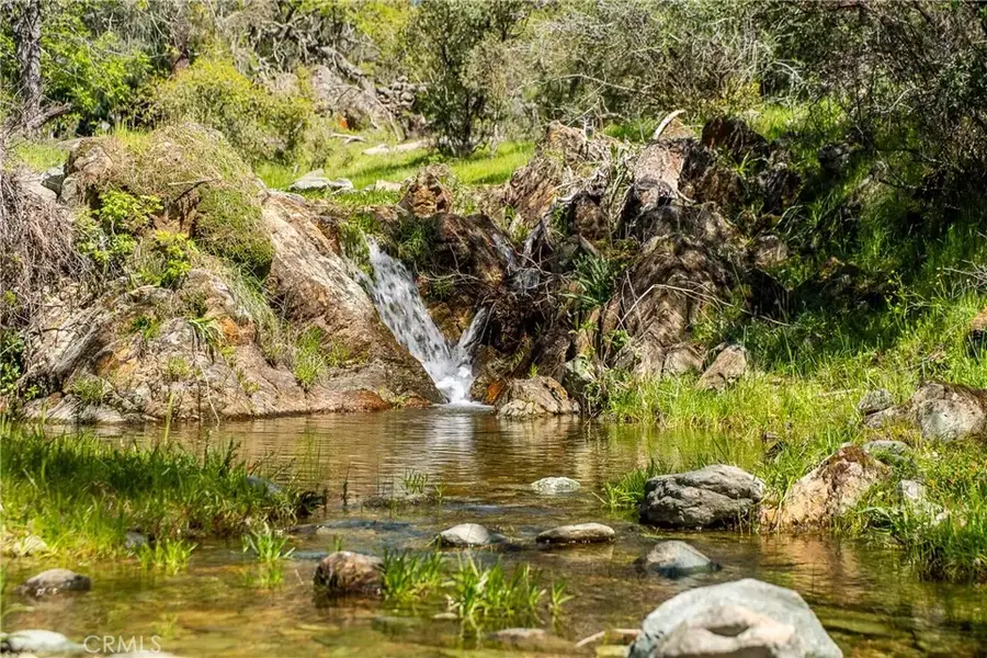 10777 Walker Trail, Angels Camp, CA 95230 - Image #2