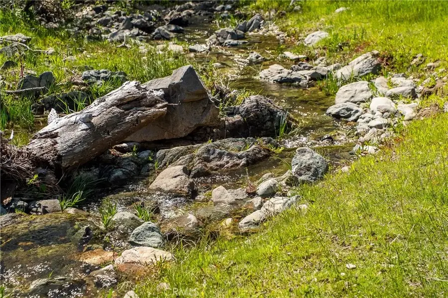 10777 Walker Trail, Angels Camp, CA 95230 - Image #3