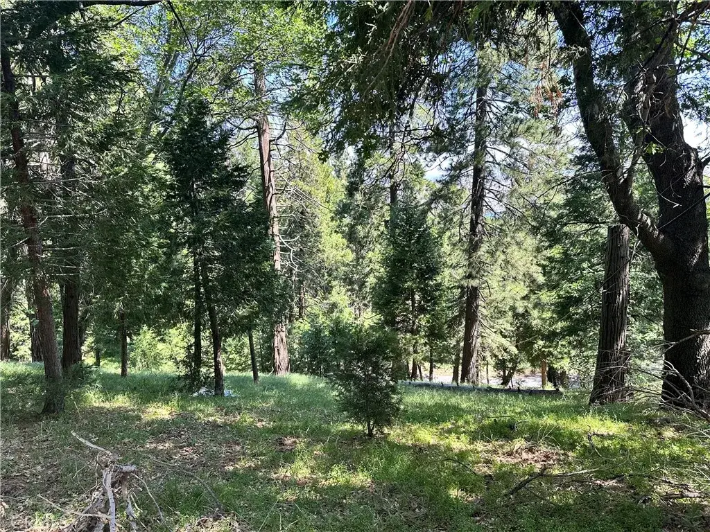 0 Bone, Cedarpines Park, CA 92322 - Image #1