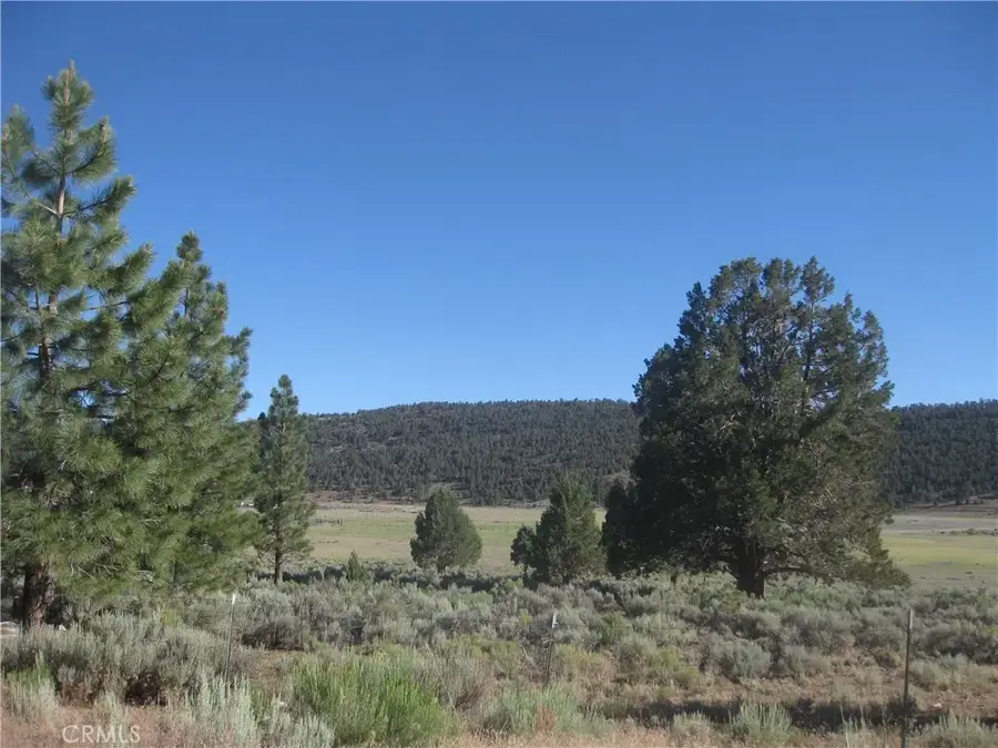 2809 Cedar, Big Bear City, CA 92314 - #3