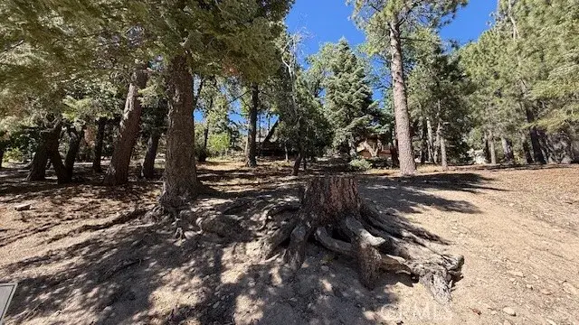 #3