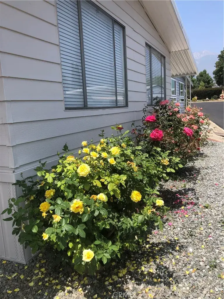 10210 Baseline, Rancho Cucamonga, CA 91701 - Image #3