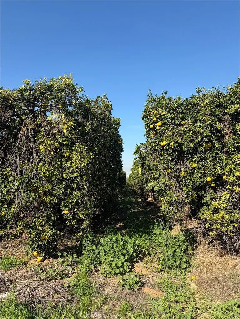 0 Dufferin, Riverside, CA 92504 - Image #2