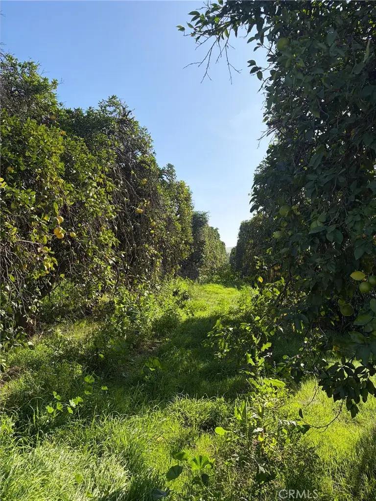 0 Dufferin, Riverside, CA 92504 - Image #3