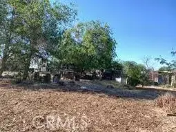 9249 E Avenue R10, Littlerock, CA 93543 - Image #3