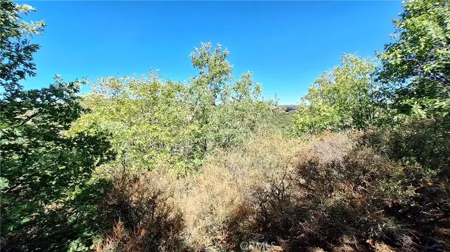 0 Coulter, Cedar Glen, CA 92321 - Image #2