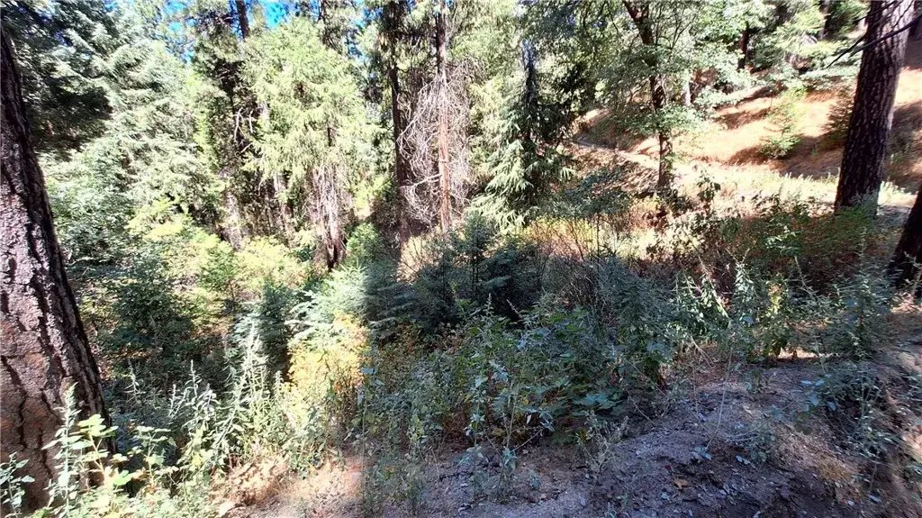 0 El Valle, Cedarpines Park, CA 92322 - Image #1