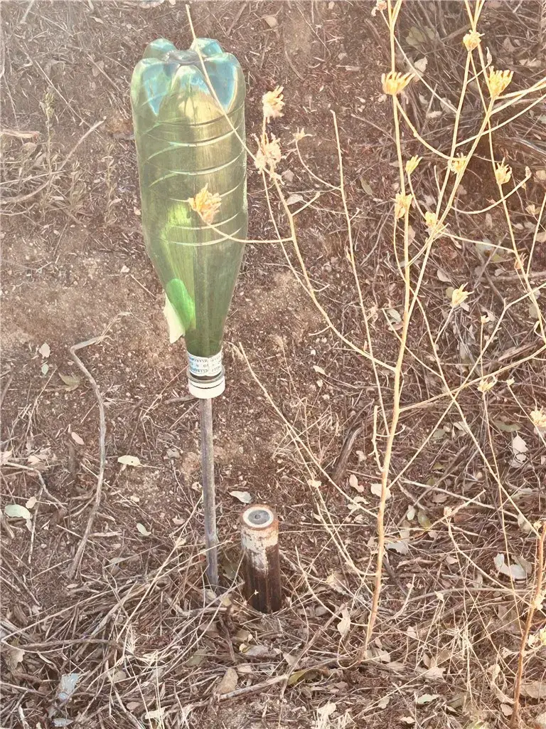 37551 Pisgah Peak, Yucaipa, CA 92399 - #2