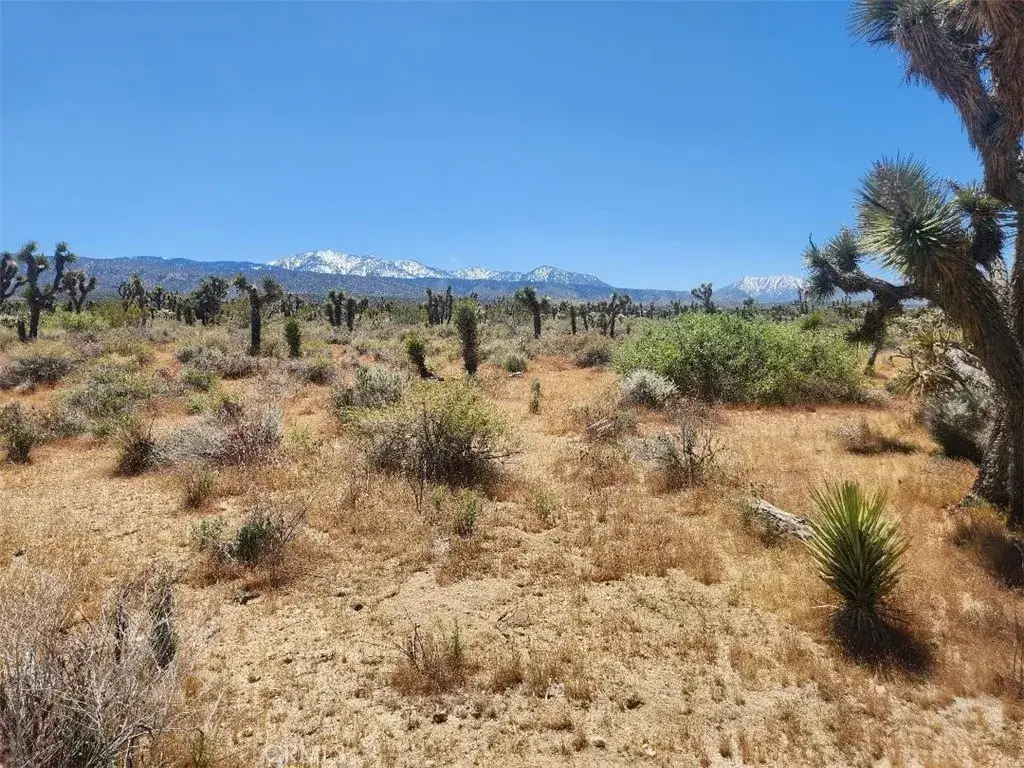 221 Avenue U, Palmdale, CA 93591 - #1