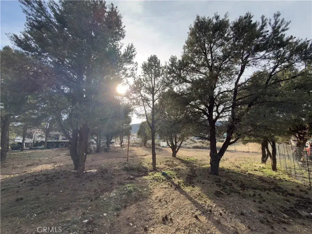 1820 Golden Rod, Big Bear City, CA 92314 - #1