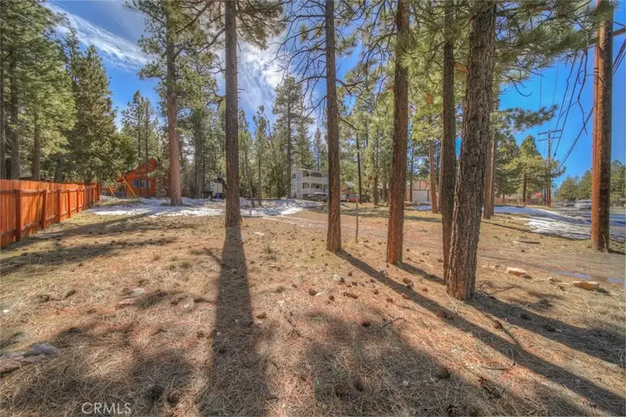 420 E Big Bear, Big Bear City, CA 92314 - #3