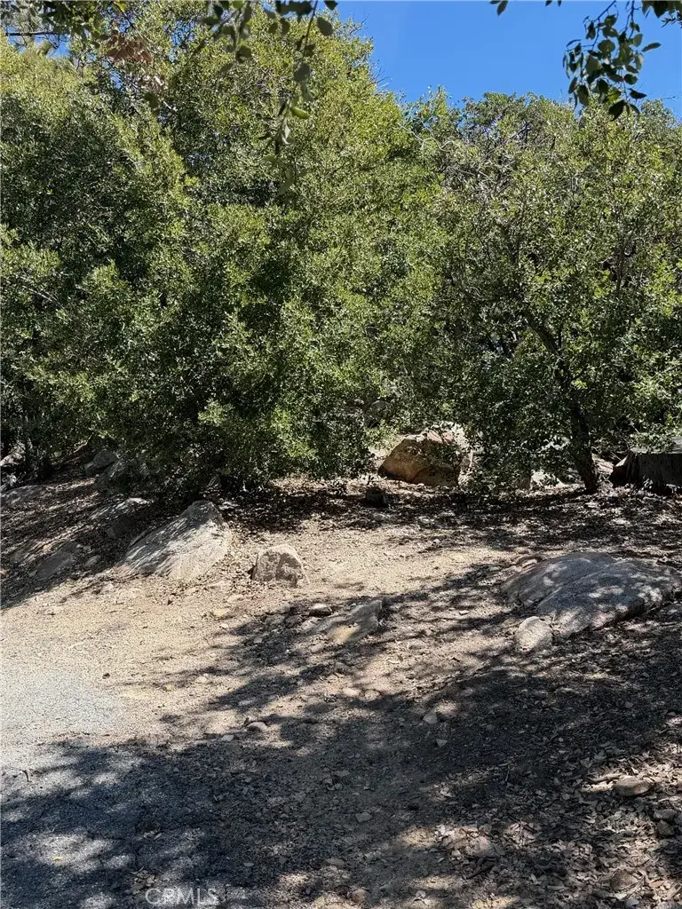 0 Grasshorn Terrace, Lake Arrowhead, CA 92352 - #1