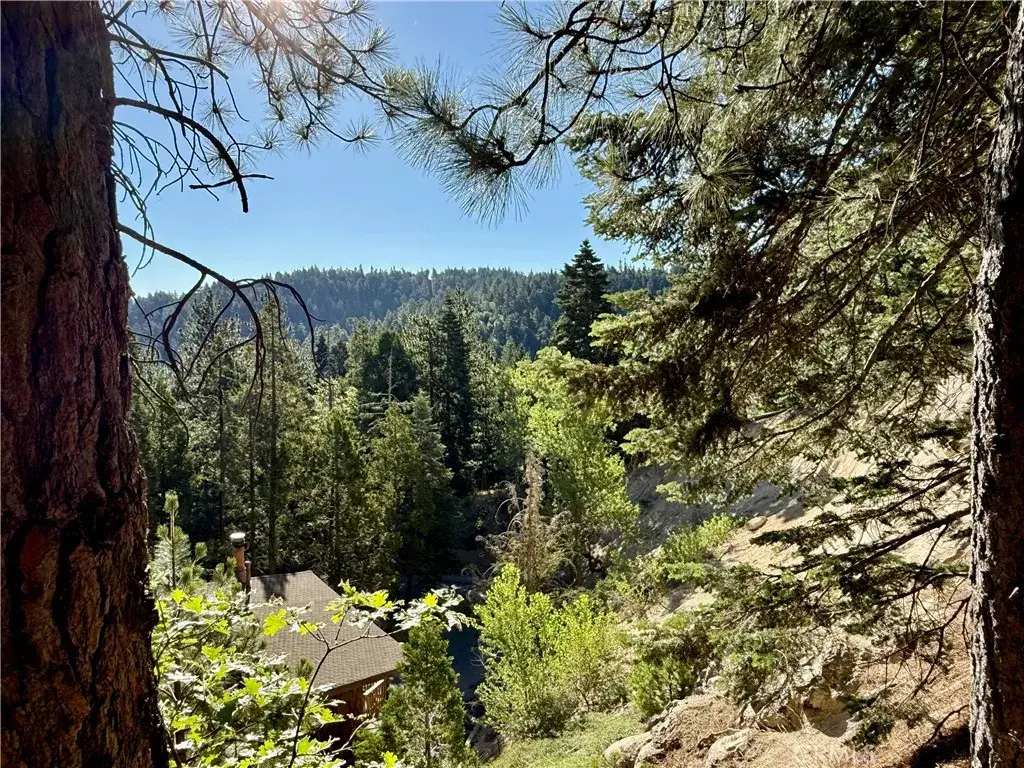 872 Sierra Vista #30, Twin Peaks, CA 92391 - #1