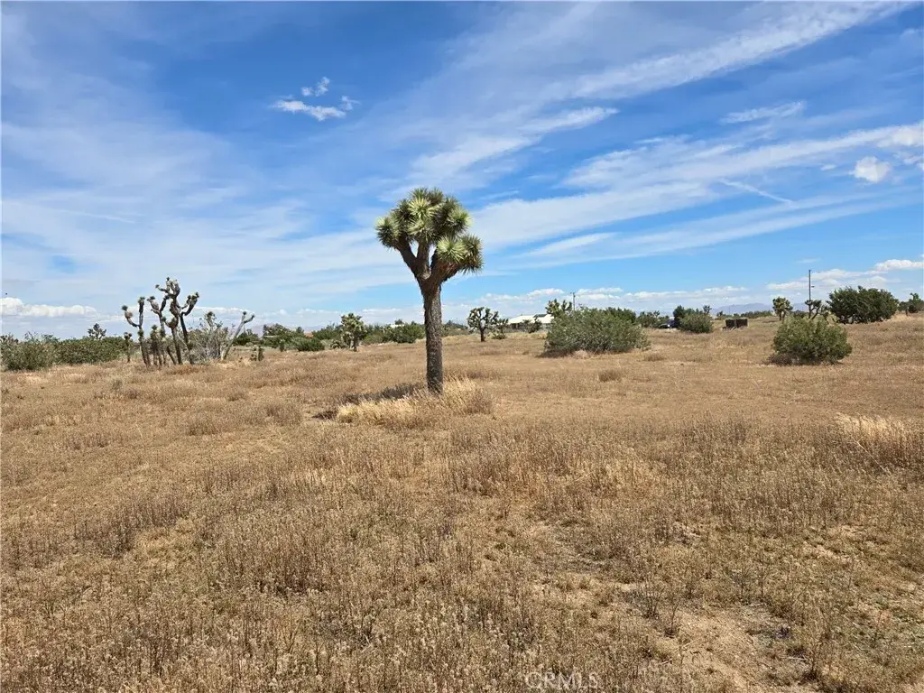 0 Aster, Oak Hills, CA 92344 - #1
