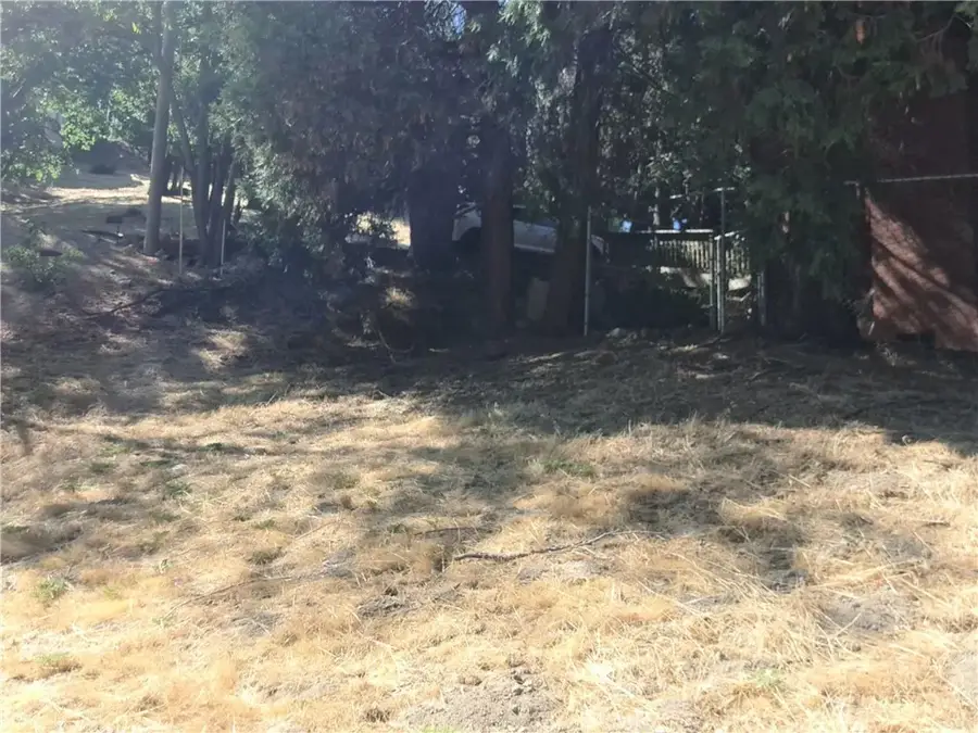 24814 Edelweiss, Crestline, CA 92325 - #3