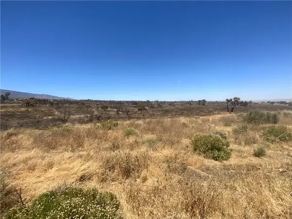 0 Joshua Tree, Lucerne Valley, CA 92285