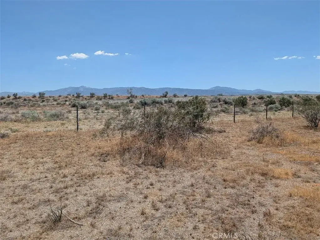 123 Dos Palmas, Pinon Hills, CA 92372 - #1