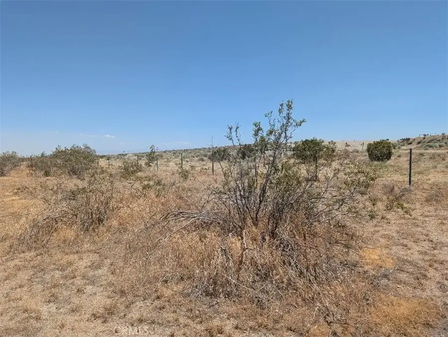 123 Dos Palmas, Pinon Hills, CA 92372 - #2