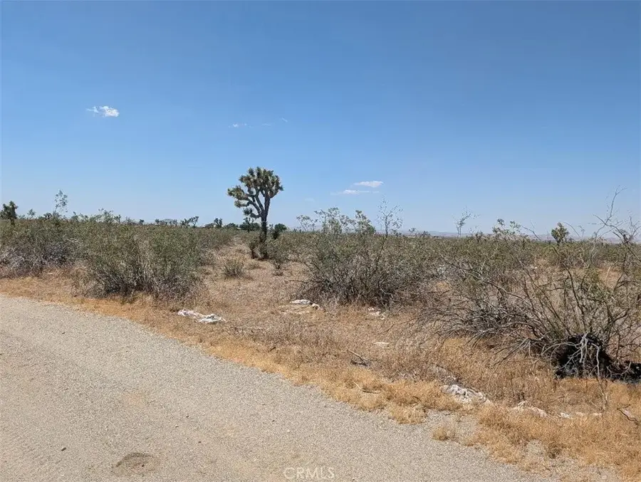 3 Dos Palmas, Pinon Hills, CA 92372 - #2