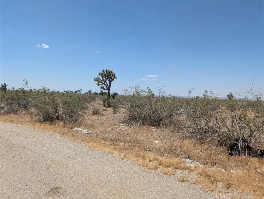 6 Dos Palmas, Pinon Hills, CA 92372 - #3