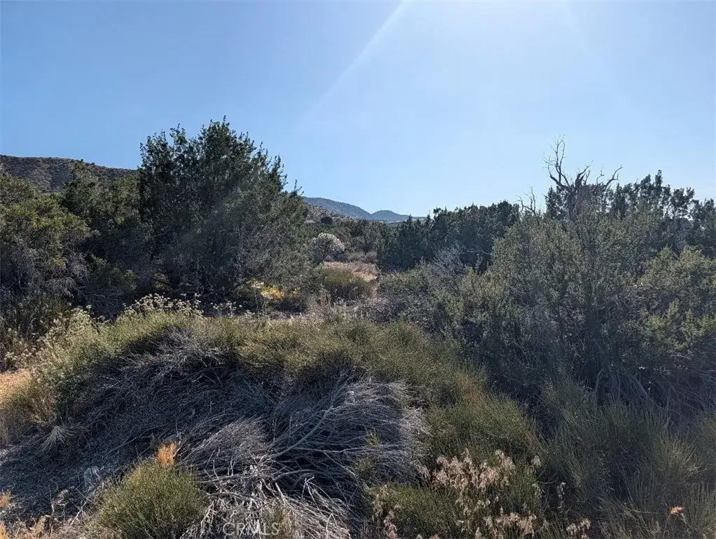 8 Mountain, Pinon Hills, CA 92372 - #1