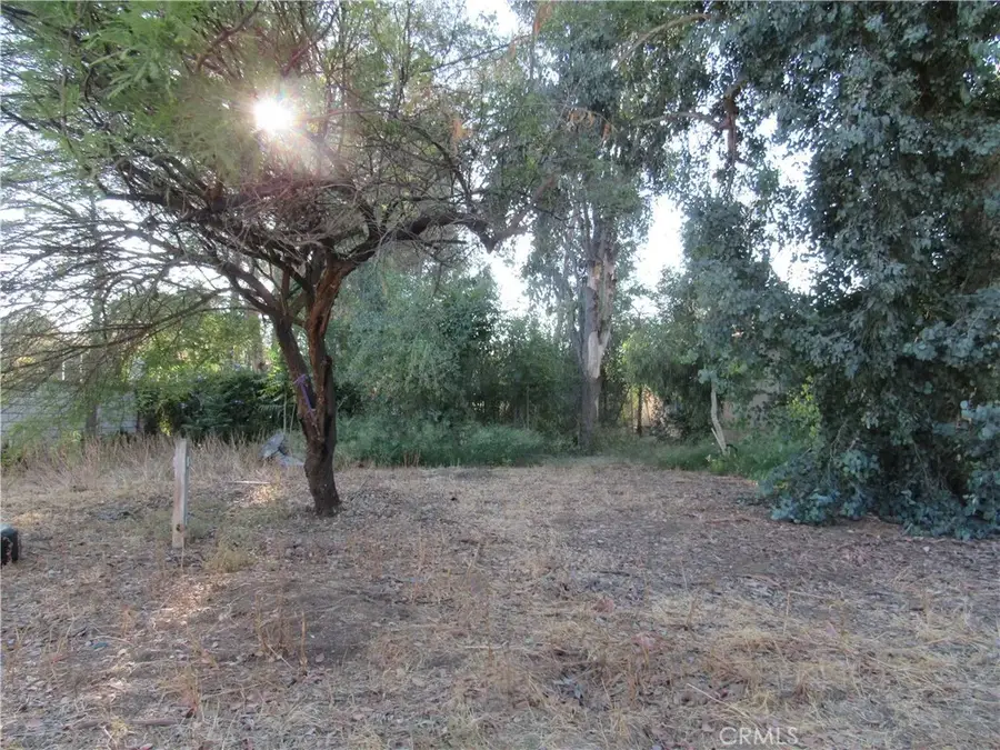22114 Rae Drive, Nuevo, CA 92567 - #3