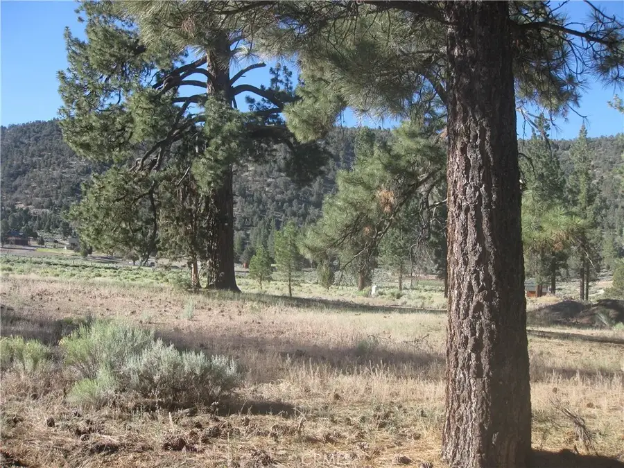 2824 Erwin Ranch Road, Big Bear City, CA 92314 - #2