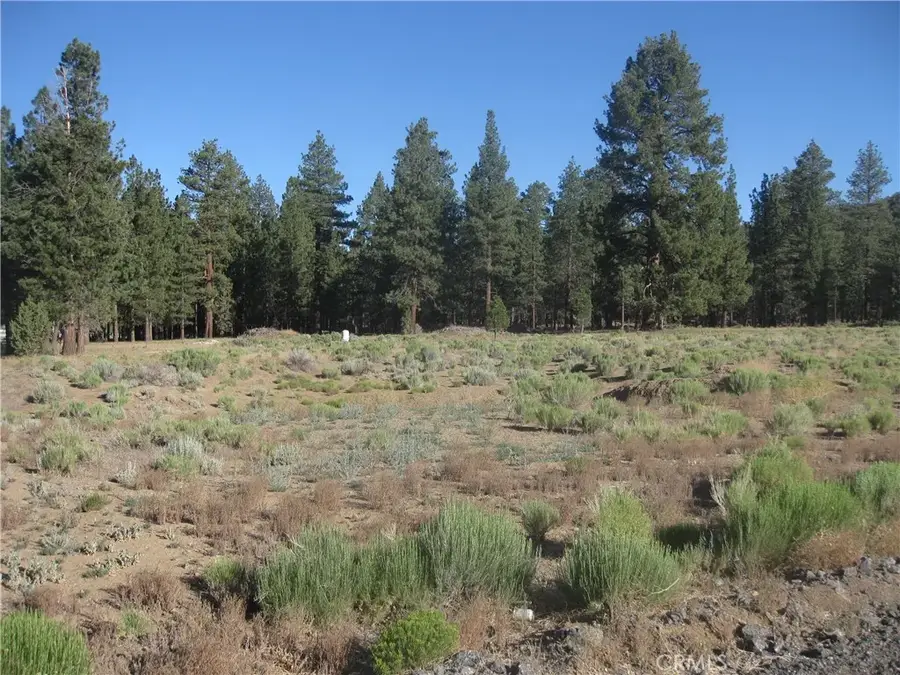 2824 Erwin Ranch Road, Big Bear City, CA 92314 - #3