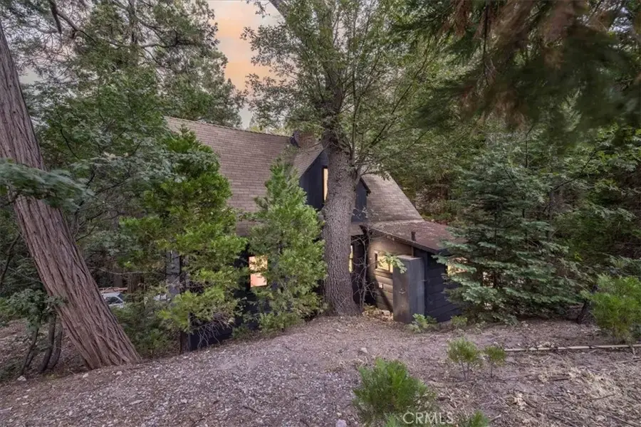 380 Dolly Varden, Lake Arrowhead, CA 92352 - #3