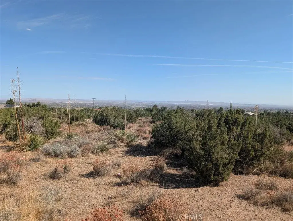 12 Tamarack, Pinon Hills, CA 92372 - #1