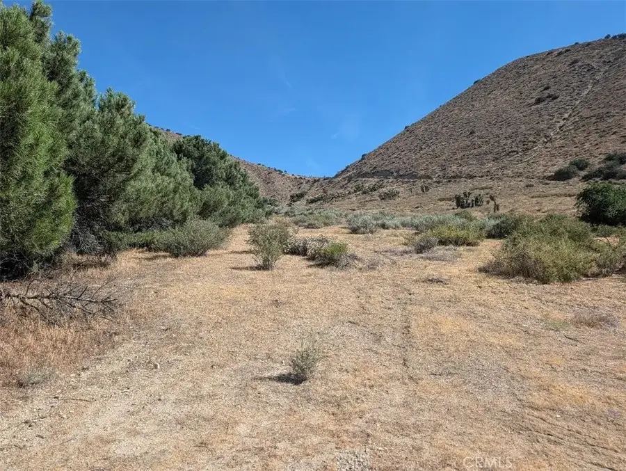 12 Paramount, Phelan, CA 92371 - #3