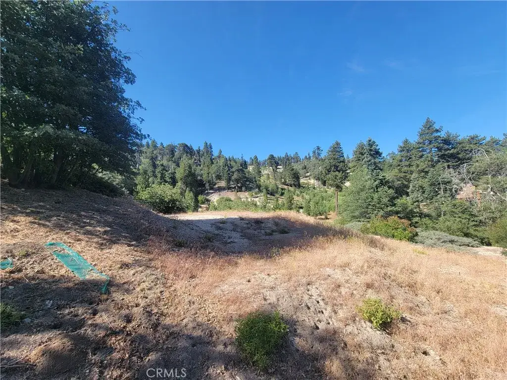 33345 Angeles, Green Valley Lake, CA 92341 - #1