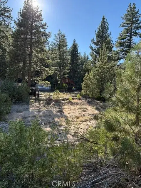 39160 Seminole, Fawnskin, CA 92333 - #2