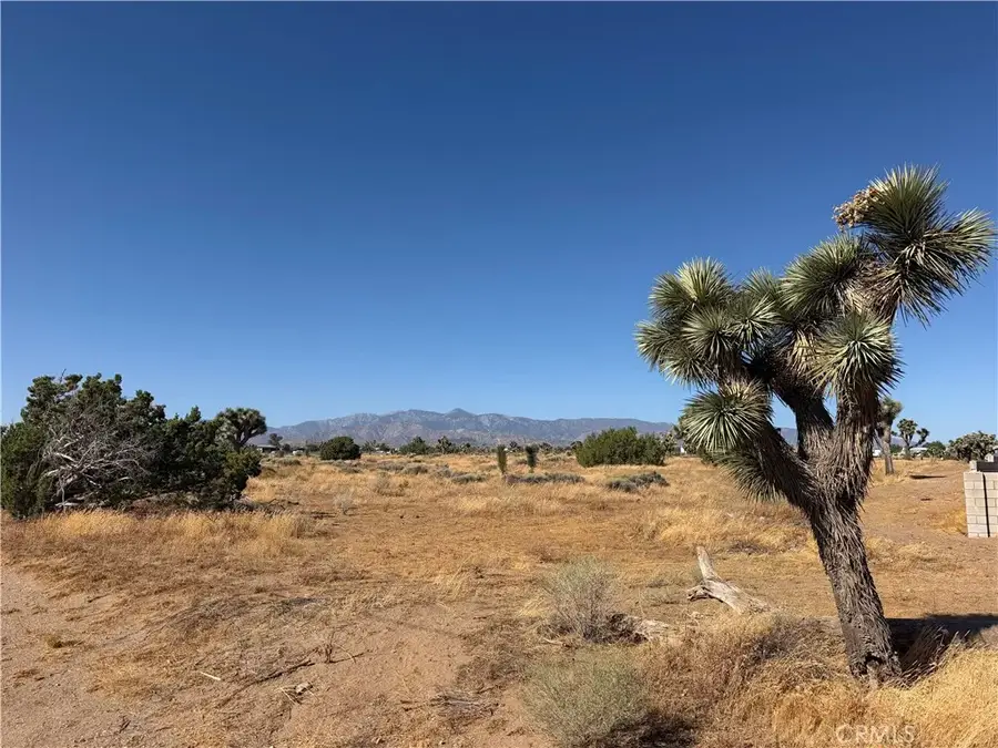0 Vinton, Phelan, CA 92371 - #2
