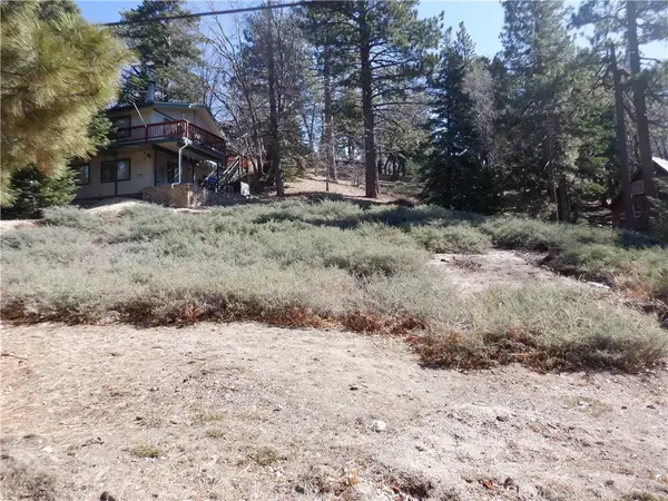 0 Wild Rose, Green Valley Lake, CA 92341