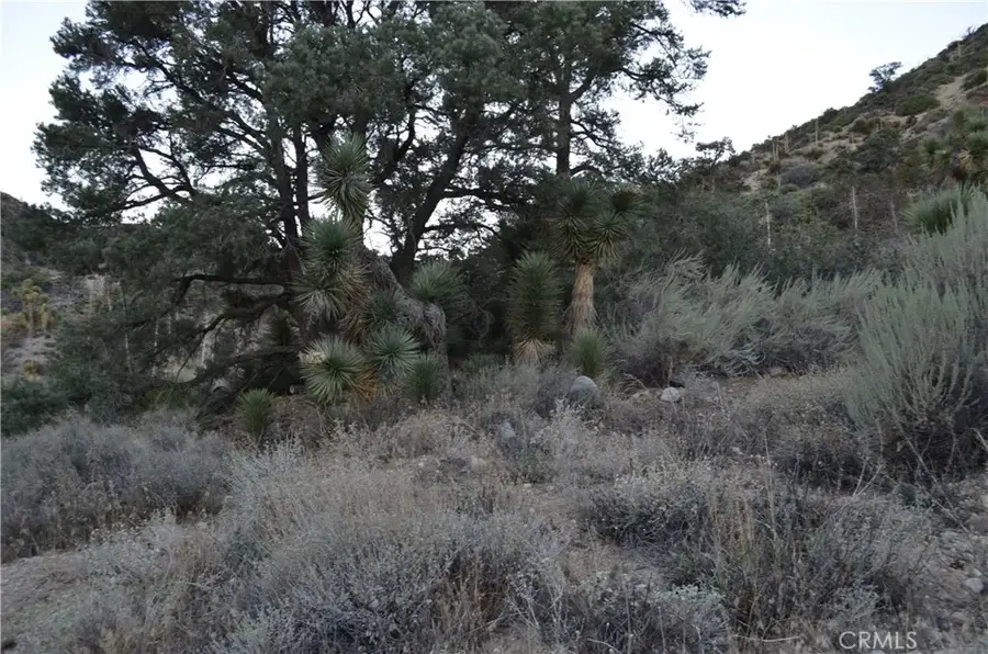 0 Verde, Pinon Hills, CA 92372 - #2