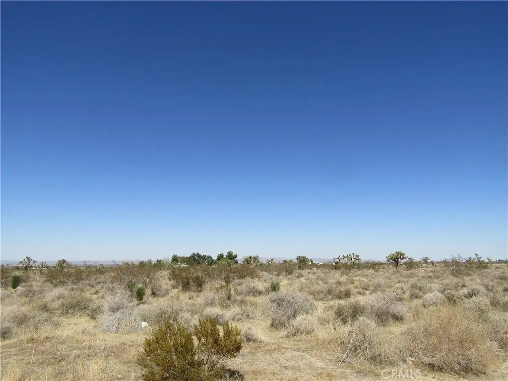 0 Madera Rd, Pinon Hills, CA 92372 - #1